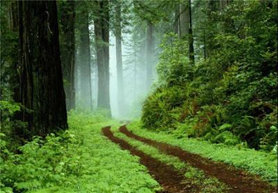 مكانهای تفریحی برای تابستان