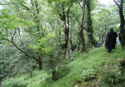 اگر به دنبال مقصد خنك و سرسبزی برای سفر هستید