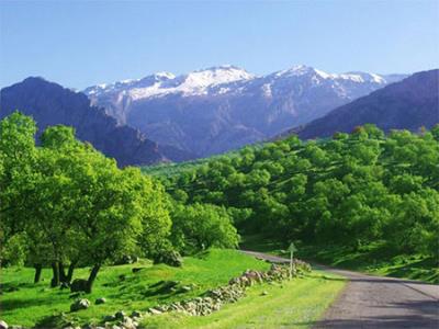 كهگیلویه و بویراحمد‌‌‌‌؛ تابلوی نقاشی ایران