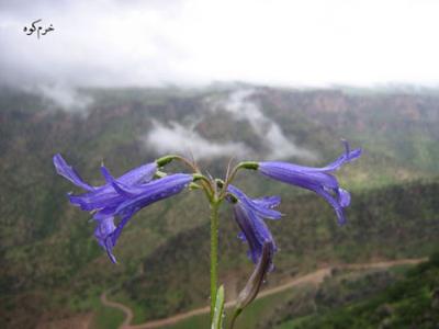 طبیعت زیبای چرداول در ایلام