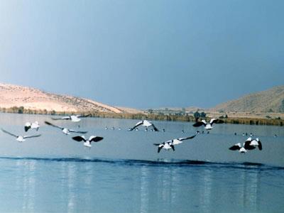 نقاط دیدنی كازرون