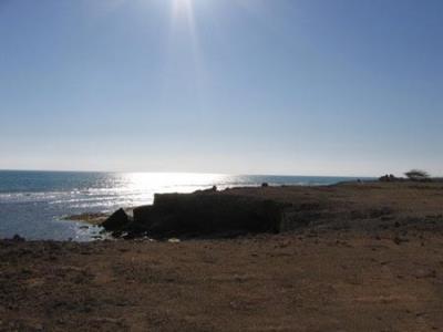 ساحل جزیره كیش