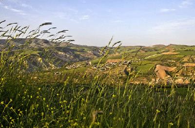 طبیعت روستای بدرانلو
