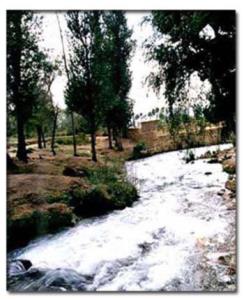 چشمه برم لردگان