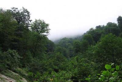 جزیره آجری شاه عباس