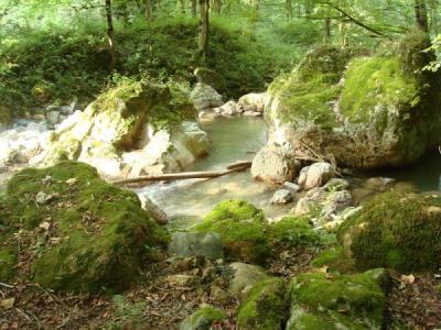 روستاهای فومن ( معرفی ۱۶۰ روستای فومن )