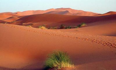 راهنمای سفر به مراكش