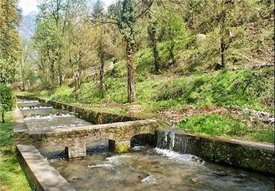 آشنایی با باغ زیبای هارون در كشمیر
