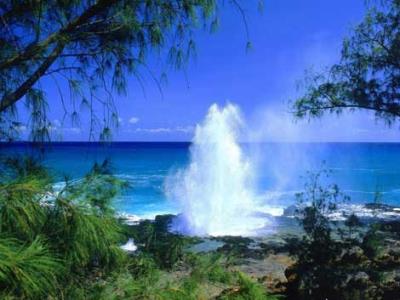 مجمع ‌الجزایر هاوایی