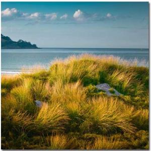 طبیعت بسیار زیبای نیوزیلند