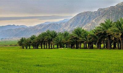 جاهای دیدنی بوشهر ( ۲۰ جاذبه گردشگری )