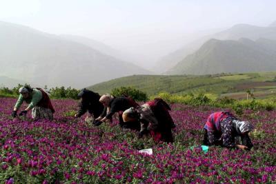 نگرشی بر عناصر هویت‌بخش میراث كشاورزی استان گیلان