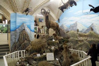موزه علوم طبیعی یزد