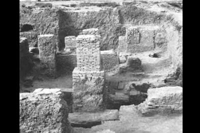 دیوار تمیشه كردكوی