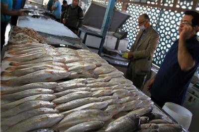 بازار جدید ماهی‌ فروشان رامسر