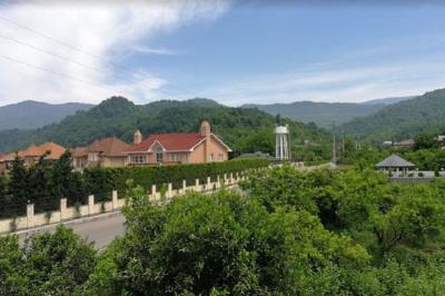 روستای اسب چین