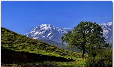 كوهنوردی؛ تفریح لذت بخش تابستانی در كهگیلویه و بویراحمد