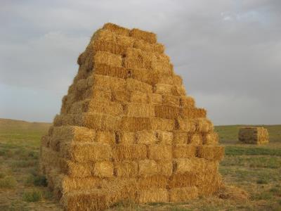 روستاهای مشگین شهر ( معرفی ۲۷۰ روستای مشگین شهر )