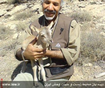 كبودان؛ بزرگترین جزیره دریاچه ارومیه