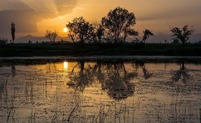 گلمرز؛ تالابی رویایی در ارومیه