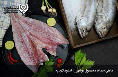 لیستی از بهترین غذاهای بوشهری