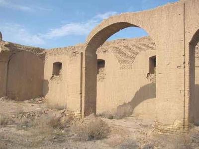 سیلوی سرخس