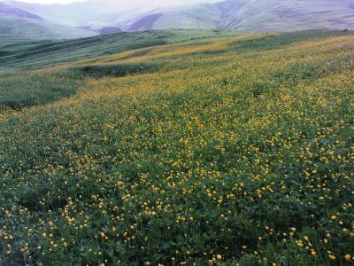 روستاهای هوراند ( معرفی ۷ روستای هوراند)