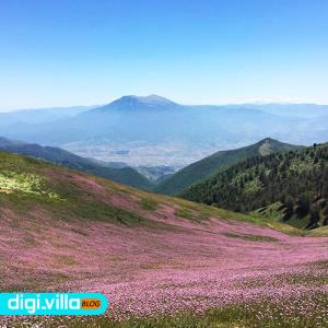 آب و هوای ییلاق سلانسر