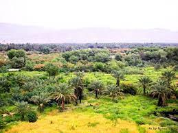 ریز آباد كجاست