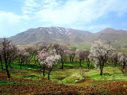 خوانین سنقر