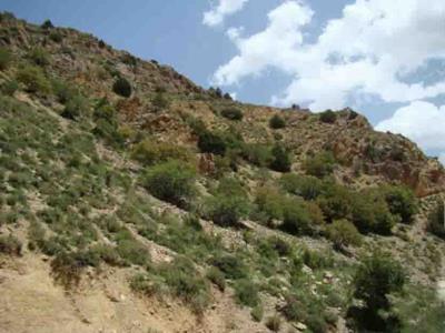 منطقه شكار ممنوع مرزی باجگیران