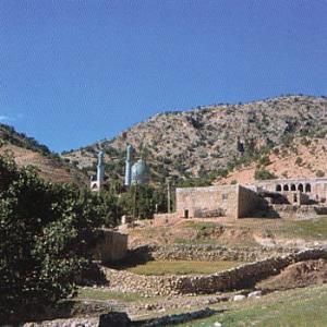 شهر قلعه رییسی