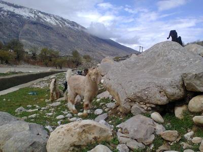 شهر گراب سفلی