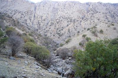 كبیركوه