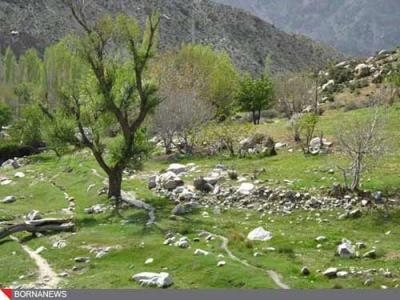 ییلاقات دلفارد