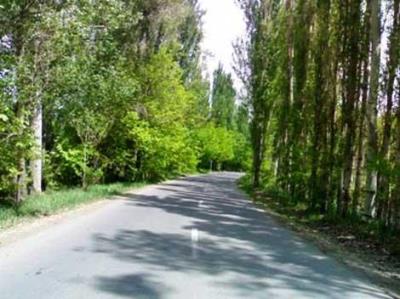 روستای كندلج