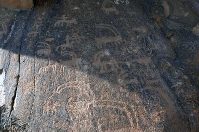 دق ارنان