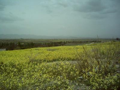 زرین آباد