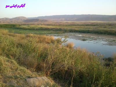 خاتون بلاغی