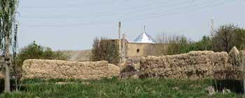 امامزاده شاهزاده علی