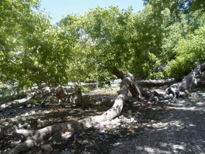 گردودركار