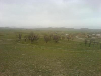 شهر سطر