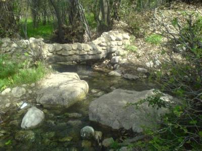 باب انار