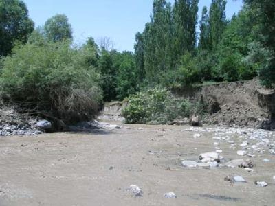 رودخانه تار