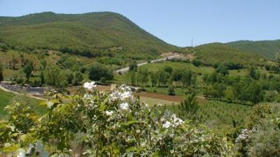 میرآباد