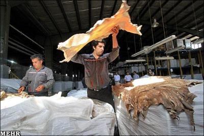 چرمسازی كرمانشاه