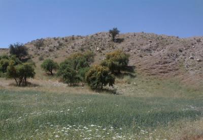 منطقه حفاظت شده كوه خیزو سرخ