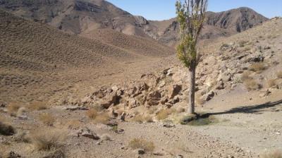 منطقه حفاظت شده كوه آسیاب كوهبنان