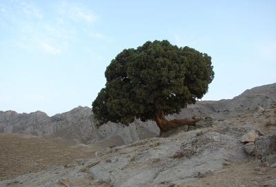 منطقه حفاظت شده كوه بزنگان