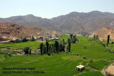 روستای فارسیان قانچی